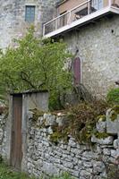 Cjp_2012_04_20_072520.jpg