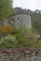 Cjp_2012_04_20_072544.jpg
