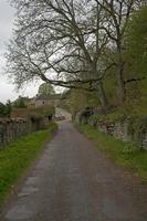 Cjp_2012_04_20_073428.jpg