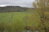 Cjp_2012_04_20_073836.jpg