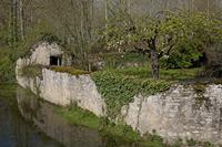 Cjp_2012_04_20_082450.jpg