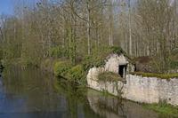 Cjp_2012_04_20_082504.jpg