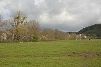 Cjp_2012_04_20_083800.jpg