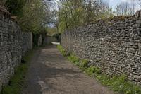 Cjp_2012_04_20_084612.jpg
