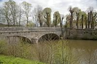 Cjp_2012_04_20_113910.jpg