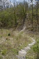 Cjp_2012_04_20_124444.jpg