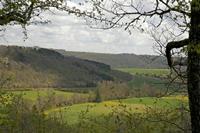 Cjp_2012_04_20_125946.jpg