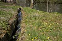 Cjp_2012_04_20_141146.jpg