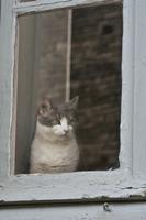Cjp_2012_04_20_151014.jpg
