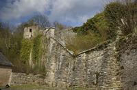 Cjp_2012_04_20_152454.jpg