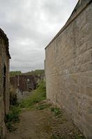 Cjp_2012_04_21_064132.jpg