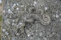 Cjp_2012_04_21_065624.jpg