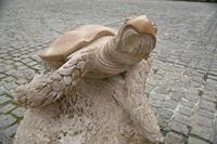 Cjp_2012_04_21_071838.jpg