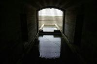 Cjp_2012_04_21_141821.jpg