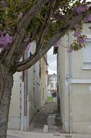 Cjp_2012_04_22_082402.jpg