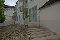 Cjp_2012_04_22_134810.jpg