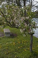 Cjp_2012_04_22_150316.jpg