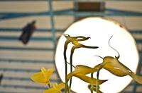 Cjp_2012_05_12_143422.jpg