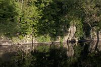 Cjp_2012_05_14_052854.jpg