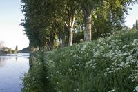 Cjp_2012_05_14_055706.jpg