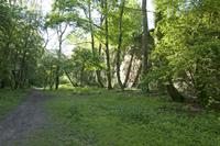 Cjp_2012_05_14_065616.jpg
