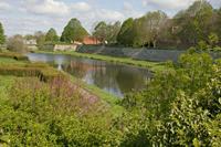 Cjp_2012_05_14_075830.jpg