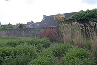 Cjp_2012_05_15_060910.jpg