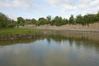 Cjp_2012_05_15_063526.jpg