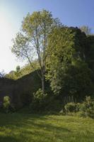 Cjp_2012_05_16_152410.jpg