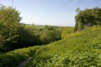 Cjp_2012_05_16_153326.jpg