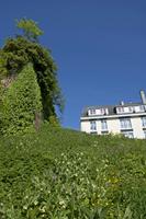 Cjp_2012_05_16_153416_2.jpg