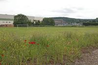 Cjp_2012_06_19_141516.jpg