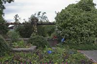 Cjp_2012_06_19_151048.jpg