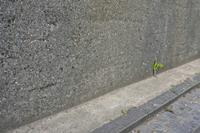 Cjp_2012_06_19_182546.jpg