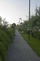Cjp_2012_06_20_052030.jpg