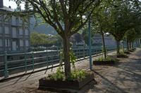 Cjp_2012_06_20_064912.jpg