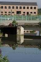 Cjp_2012_06_20_072718.jpg