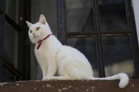 Cjp_2012_06_20_083404.jpg