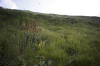 Cjp_2012_06_20_172318.jpg