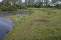 Cjp_2012_06_22_070046.jpg