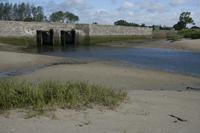 Cjp_2012_06_22_070558.jpg
