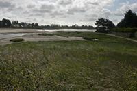 Cjp_2012_06_22_070819.jpg