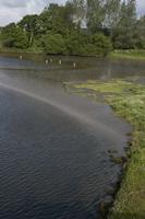 Cjp_2012_06_22_071002.jpg