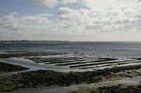 Cjp_2012_06_22_072214.jpg