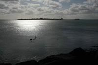 Cjp_2012_06_22_072456.jpg