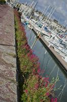 Cjp_2012_06_22_073144.jpg