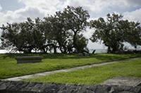 Cjp_2012_06_22_074438.jpg