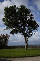 Cjp_2012_06_22_074600.jpg