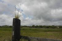 Cjp_2012_06_22_114638.jpg