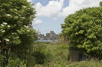 Cjp_2012_06_22_123614.jpg